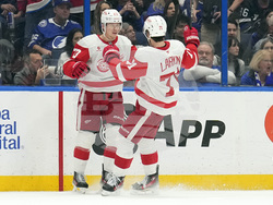 Red Wings Lightning Hockey