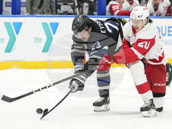 Red Wings Lightning Hockey