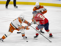 Ducks Panthers Hockey