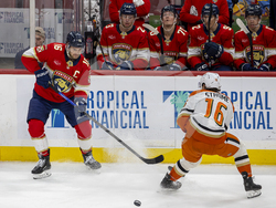 Ducks Panthers Hockey