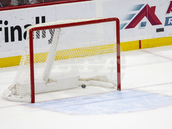 Ducks Panthers Hockey