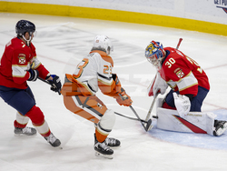 Ducks Panthers Hockey