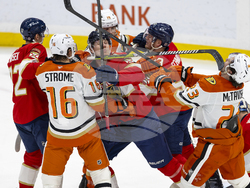 Ducks Panthers Hockey