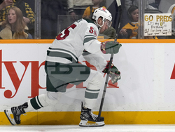 WIld Predators Hockey