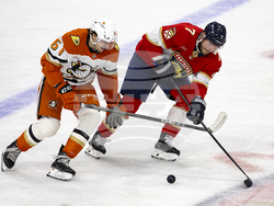 Ducks Panthers Hockey