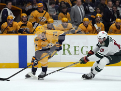 WIld Predators Hockey