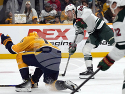 Wild Predators Hockey