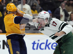 Wild Predators Hockey