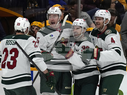 WIld Predators Hockey