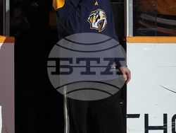 WIld Predators Hockey
