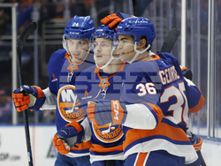 Sharks Islanders Hockey
