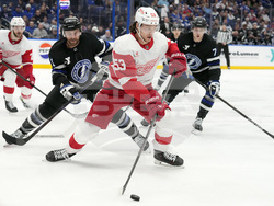 Red Wings Lightning Hockey