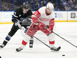Red Wings Lightning Hockey