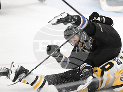 Penguins Capitals Hockey