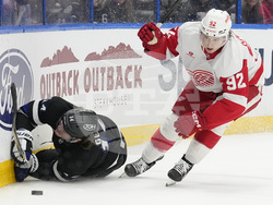 Red Wings Lightning Hockey