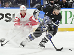 Red Wings Lightning Hockey