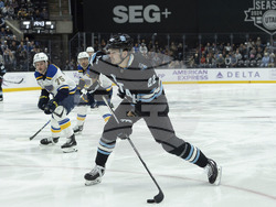 Blues Utah Hockey