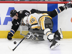 Penguins Capitals Hockey