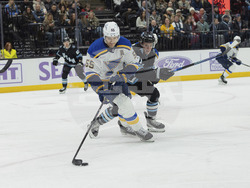 Blues Utah Hockey