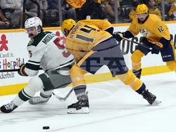 WIld Predators Hockey