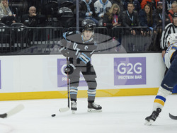 Blues Utah Hockey