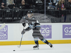 Blues Utah Hockey