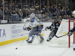 Blues Utah Hockey