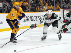 WIld Predators Hockey