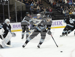 Blues Utah Hockey