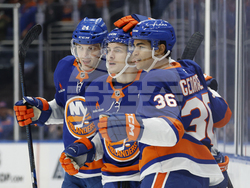 Sharks Islanders Hockey