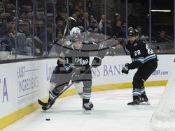 Blues Utah Hockey