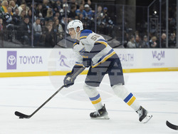Blues Utah Hockey