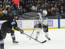 Blues Utah Hockey