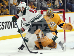 WIld Predators Hockey