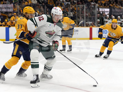 WIld Predators Hockey