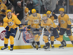 WIld Predators Hockey