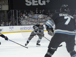 Blues Utah Hockey