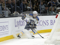 Blues Utah Hockey