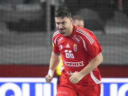 Handball Men's Worlds