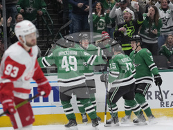 Red Wings Stars Hockey