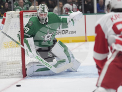 Red Wings Stars Hockey