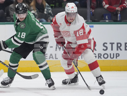 Red Wings Stars Hockey