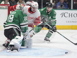 Red Wings Stars Hockey