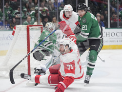 Red Wings Stars Hockey