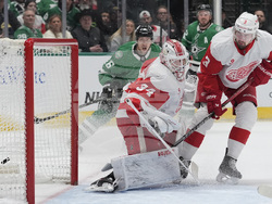 Red Wings Stars Hockey