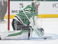 Red Wings Stars Hockey