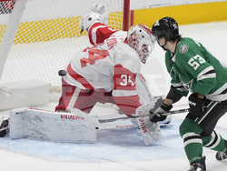 Red Wings Stars Hockey