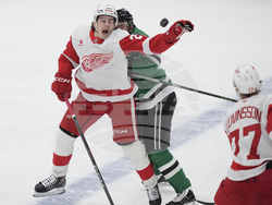 Red Wings Stars Hockey