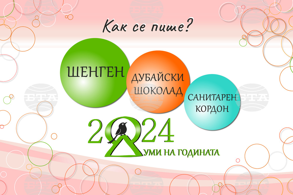 „Шенген“, „дубайски шоколад“ и „санитарен кордон“ са думите на 2024 г.