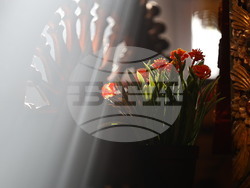 Бачковски манастир - литургия